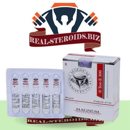 Testosterone enanthate online in USA: Magnum Test-E 300