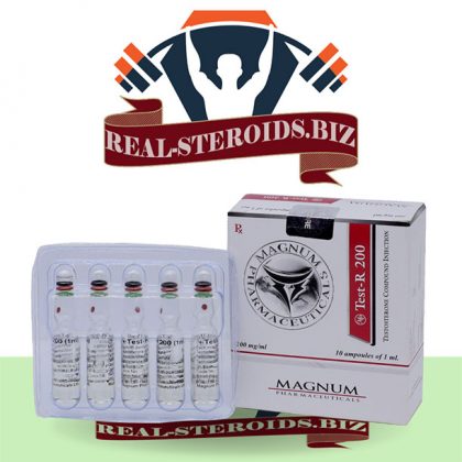 Sustanon 250 (Testosterone mix) online in USA: Magnum Test-R 200